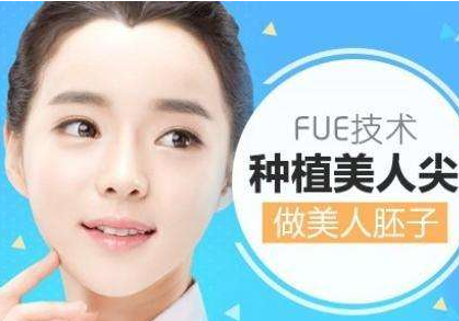 美人尖种植效果 价格