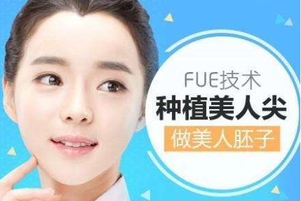 美人尖种植过程 适宜人群
