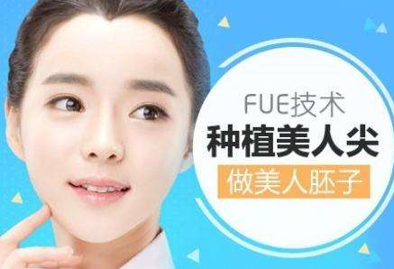 什么是美人尖种植 美人尖种植效果如何