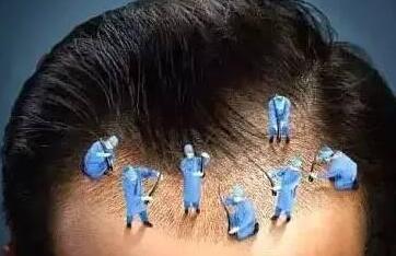 生姜洗发水能生发吗