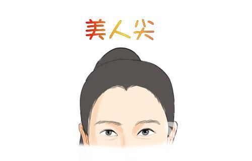 美人尖怎么种植 柳州贞韩美人尖种植价格