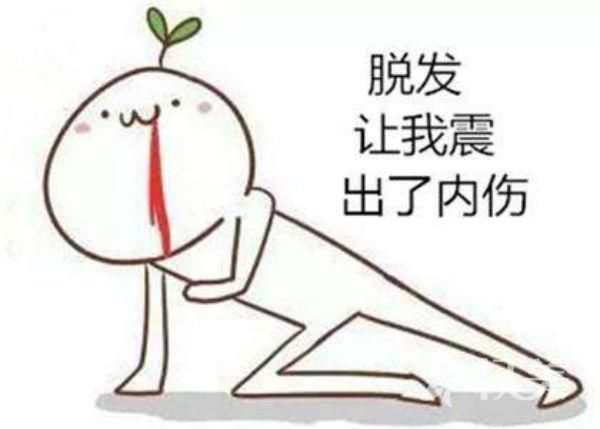 老是掉头发是怎么回事 美人尖种植价格是多少