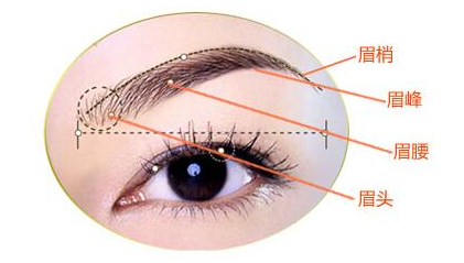 眉毛移植术有哪些优点