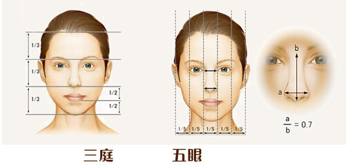 用图通知你亚洲最美的“脸”长的什么样?
