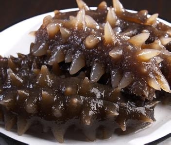 海参的营养价值，百补之首！