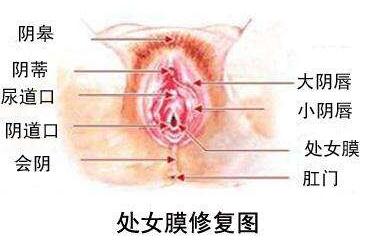 桂林医学院附属医院做韩式阴道紧缩术的优势