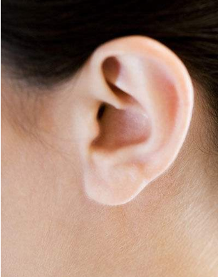 全耳再造手术过程 注意事项