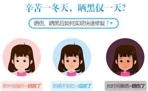 的价格是多少